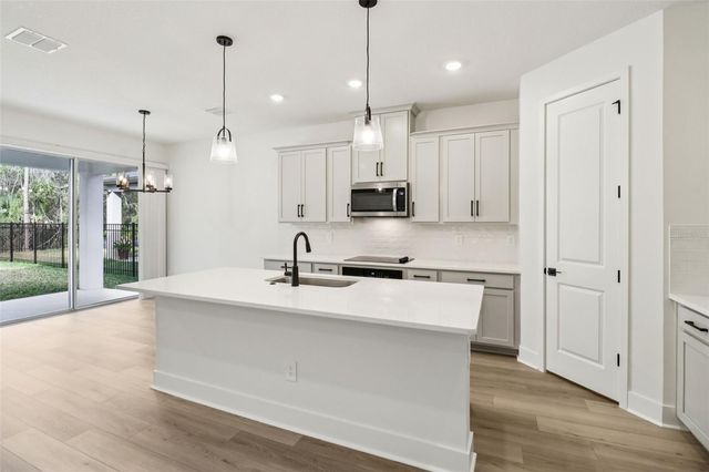 2158 WILDBERRY WAY, Minneola, FL 34715