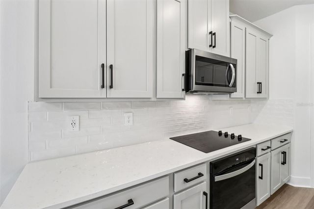 2158 WILDBERRY WAY, Minneola, FL 34715