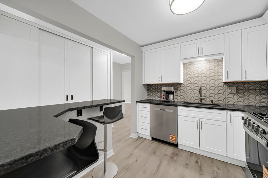 245 S Park Lane 419, Palatine, IL 60074 — photo 3