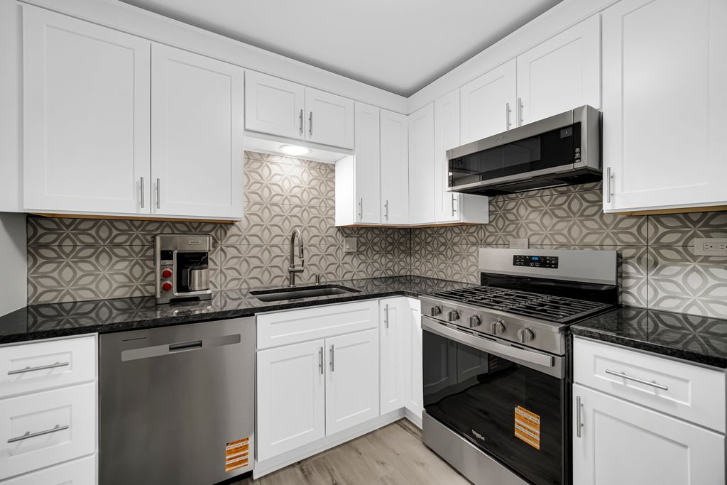 245 S Park Lane 419, Palatine, IL 60074 — photo 4
