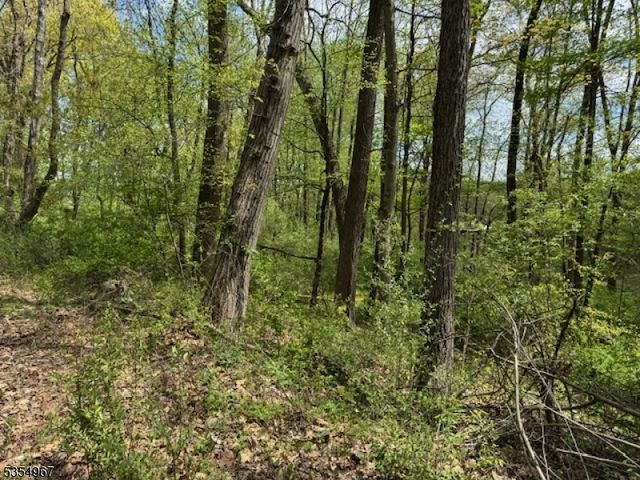 14 Laurel Woods Dr, Blairstown Twp., NJ 07825