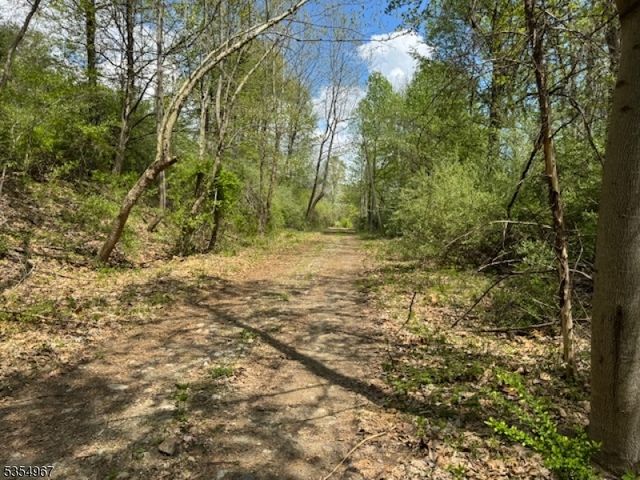 14 Laurel Woods Dr, Blairstown Twp., NJ 07825