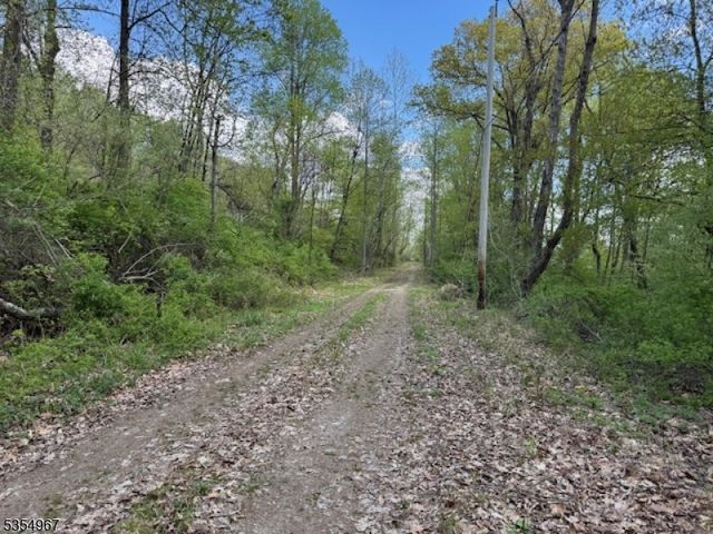 14 Laurel Woods Dr, Blairstown Twp., NJ 07825