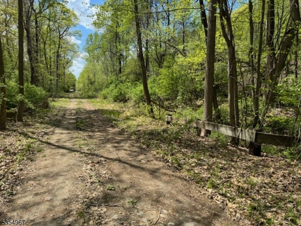14 Laurel Woods Dr, Blairstown Twp., NJ 07825