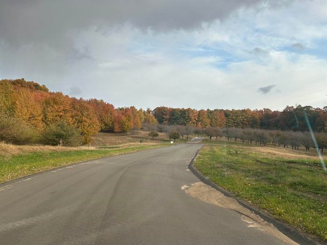 Parcel 10 Karnes Road, Glen Arbor, MI 49636