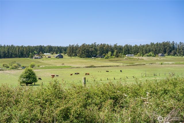 124 Donna's Lane, Lopez Island, WA 98261