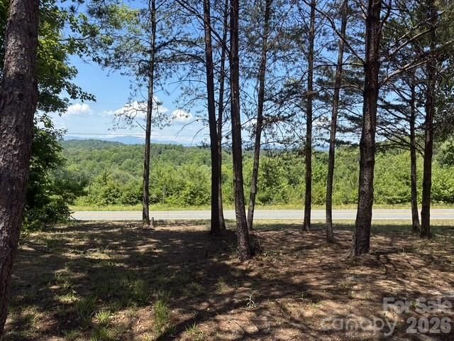 1431 Mountain Creek Road, Rutherfordton, NC 28139