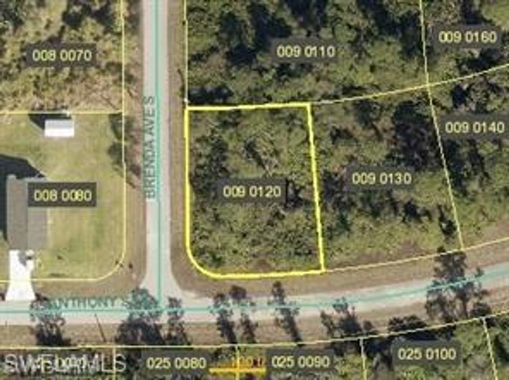 925 Anthony ST E, LEHIGH ACRES, FL 33974 — exterior