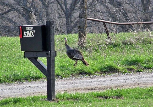 510 NW 100th Street, Spickard, MO 64679