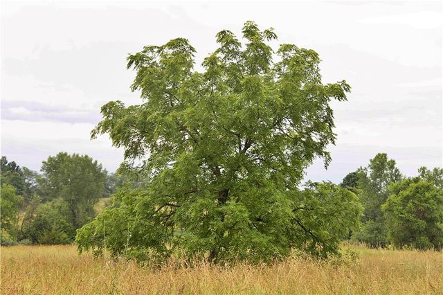 510 NW 100th Street, Spickard, MO 64679