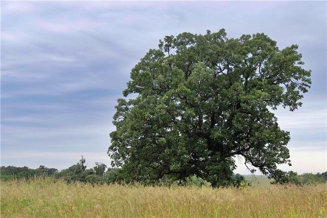 510 NW 100th Street, Spickard, MO 64679