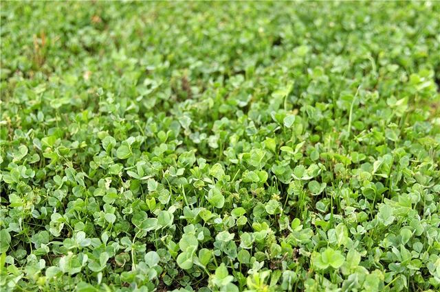 510 NW 100th Street, Spickard, MO 64679