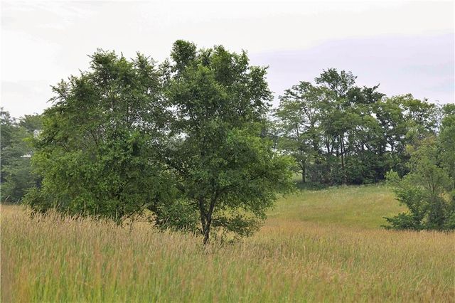 510 NW 100th Street, Spickard, MO 64679