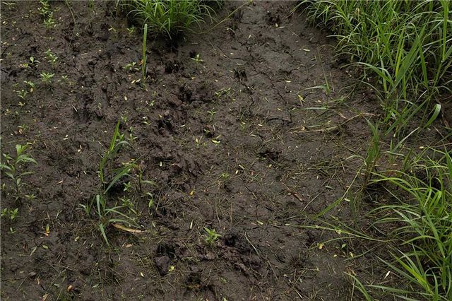 510 NW 100th Street, Spickard, MO 64679