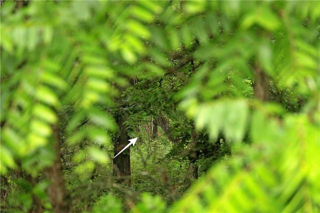 510 NW 100th Street, Spickard, MO 64679