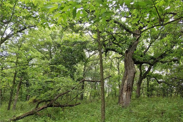 510 NW 100th Street, Spickard, MO 64679