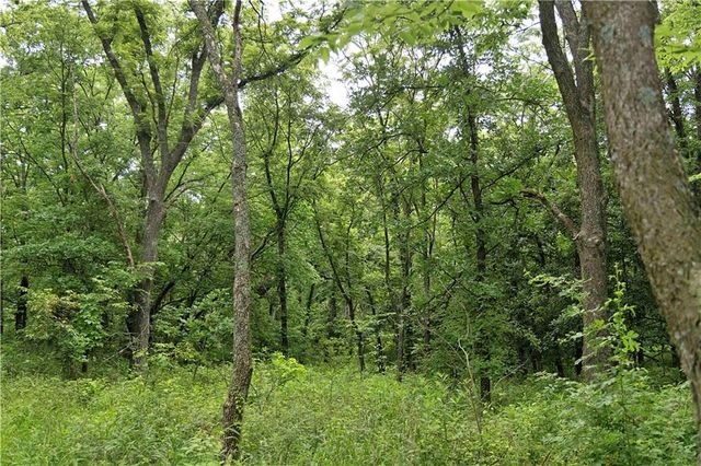 510 NW 100th Street, Spickard, MO 64679