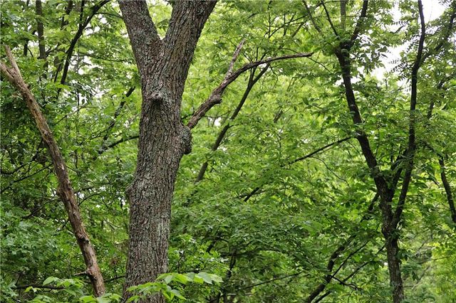 510 NW 100th Street, Spickard, MO 64679