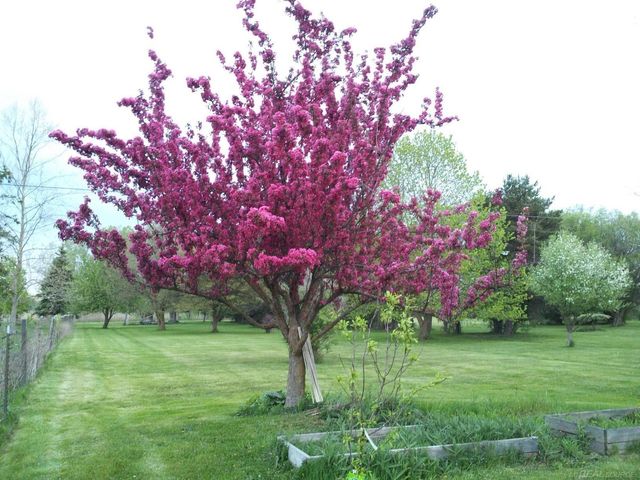 Vacant Springborn Road, Casco, MI 48064