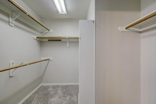 182 W Stedhill Loop, The Woodlands, TX 77384