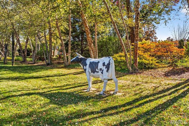 12 E Brentmoor Park, Clayton, MO 63105