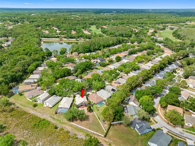 17648 NATHANS DRIVE, Tampa, FL 33647