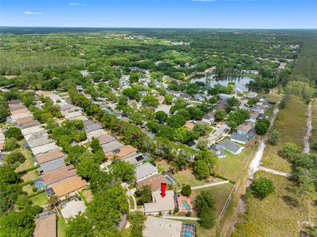 17648 NATHANS DRIVE, Tampa, FL 33647