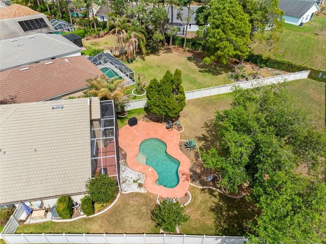 17648 NATHANS DRIVE, Tampa, FL 33647