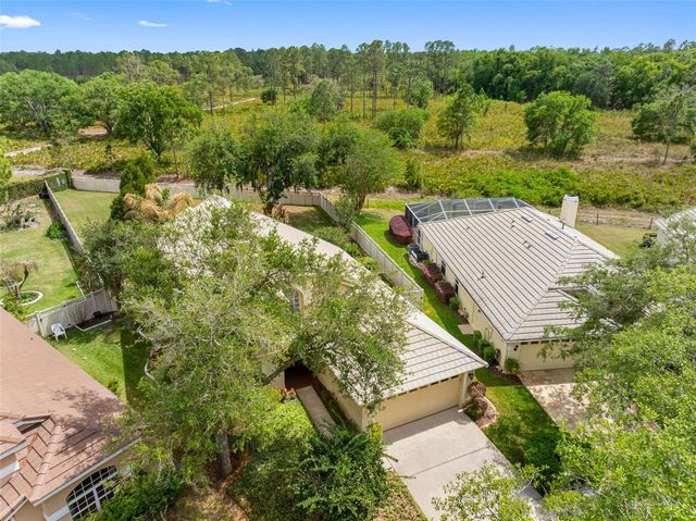 17648 NATHANS DRIVE, Tampa, FL 33647