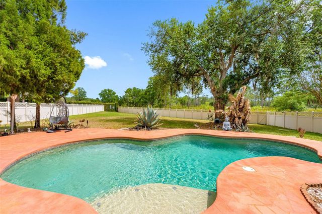 17648 NATHANS DRIVE, Tampa, FL 33647