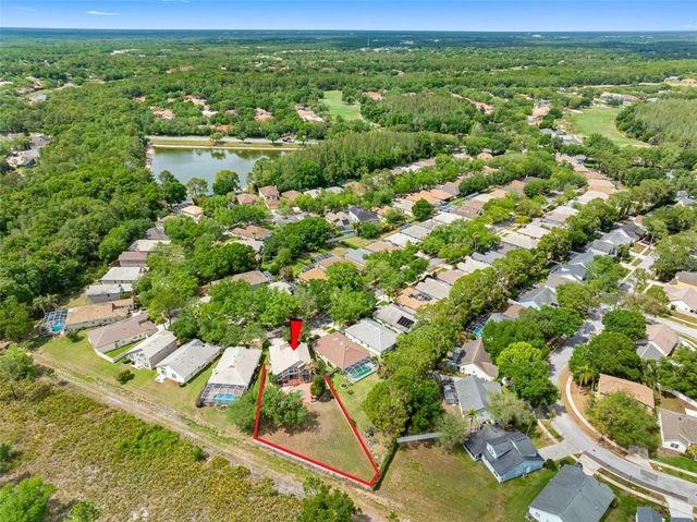 17648 NATHANS DRIVE, Tampa, FL 33647