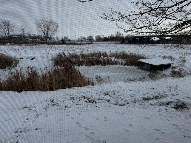 3110 N Old US Hwy 45 Highway, Clifton, IL 60927