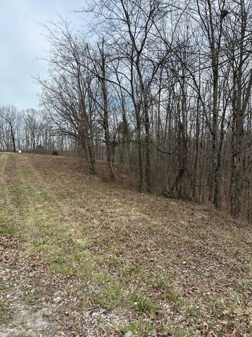 0 Tug Dr, Waverly, TN 37185