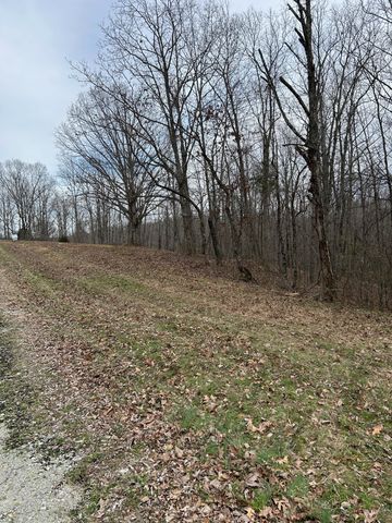 0 Tug Dr, Waverly, TN 37185