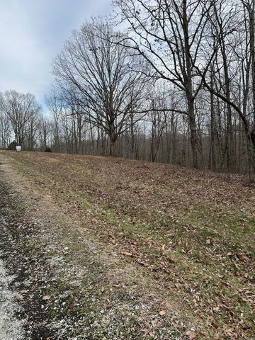 0 Tug Dr, Waverly, TN 37185