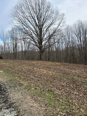 0 Tug Dr, Waverly, TN 37185