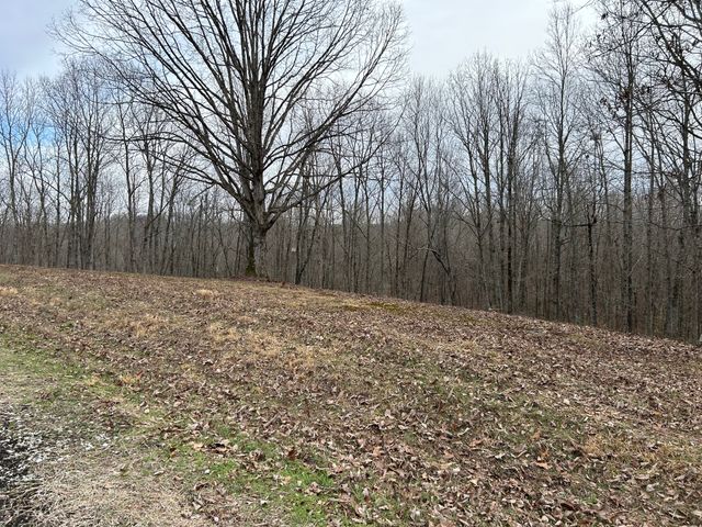 0 Tug Dr, Waverly, TN 37185
