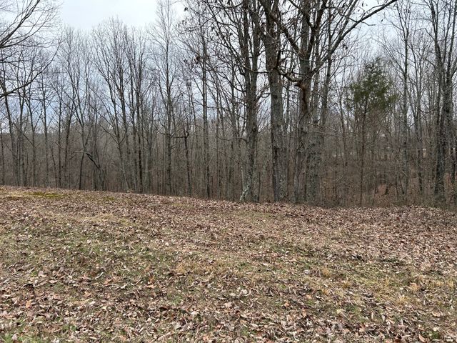 0 Tug Dr, Waverly, TN 37185
