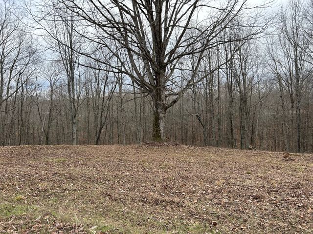 0 Tug Dr, Waverly, TN 37185