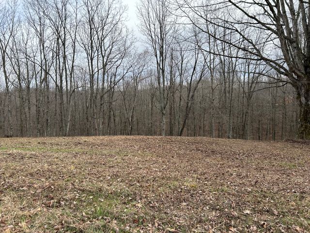 0 Tug Dr, Waverly, TN 37185
