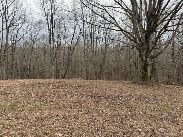 0 Tug Dr, Waverly, TN 37185