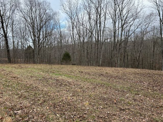 0 Tug Dr, Waverly, TN 37185