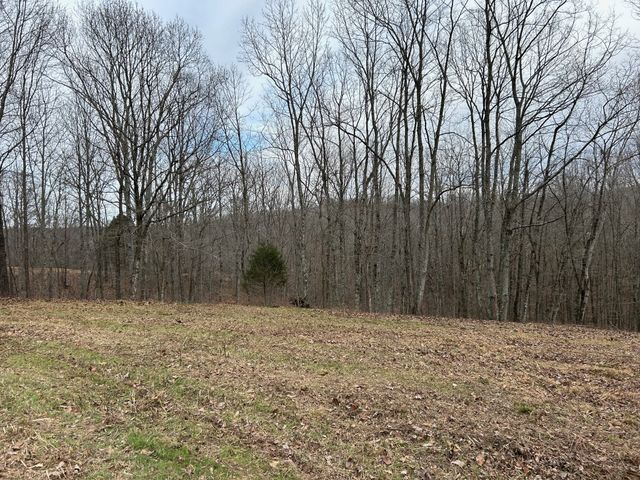 0 Tug Dr, Waverly, TN 37185