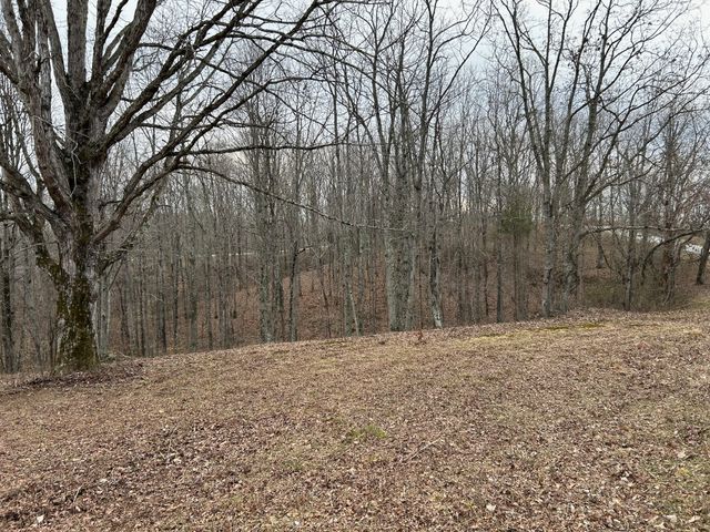 0 Tug Dr, Waverly, TN 37185