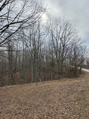 0 Tug Dr, Waverly, TN 37185