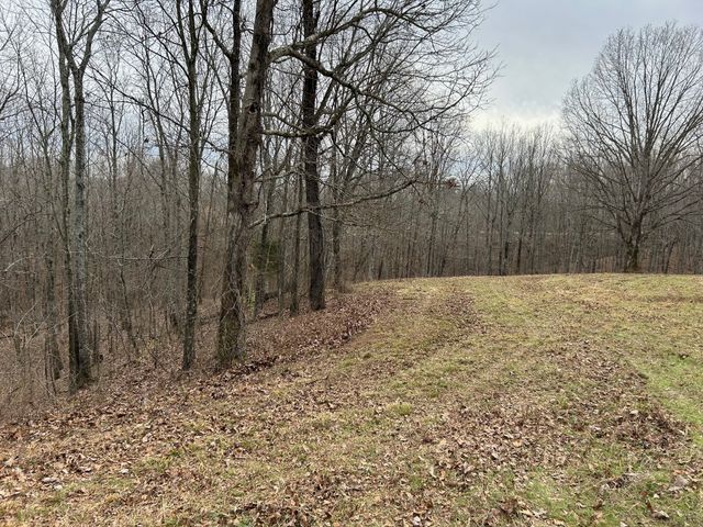 0 Tug Dr, Waverly, TN 37185