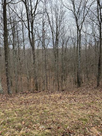 0 Tug Dr, Waverly, TN 37185