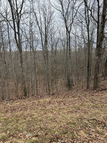 0 Tug Dr, Waverly, TN 37185