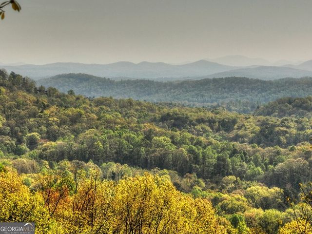 783 Moreland Drive N, Cherry Log, GA 30522