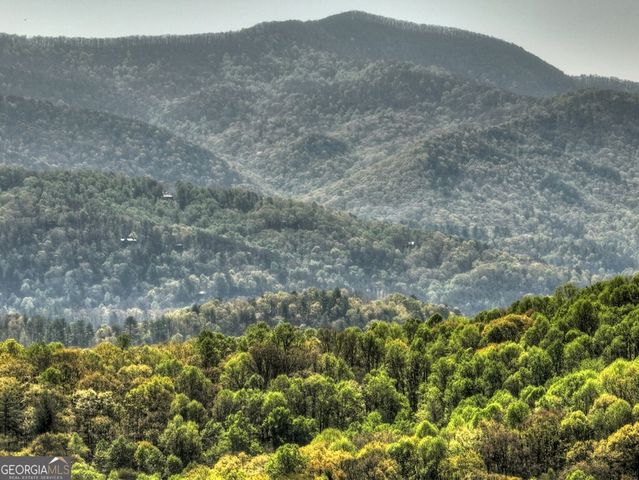 783 Moreland Drive N, Cherry Log, GA 30522